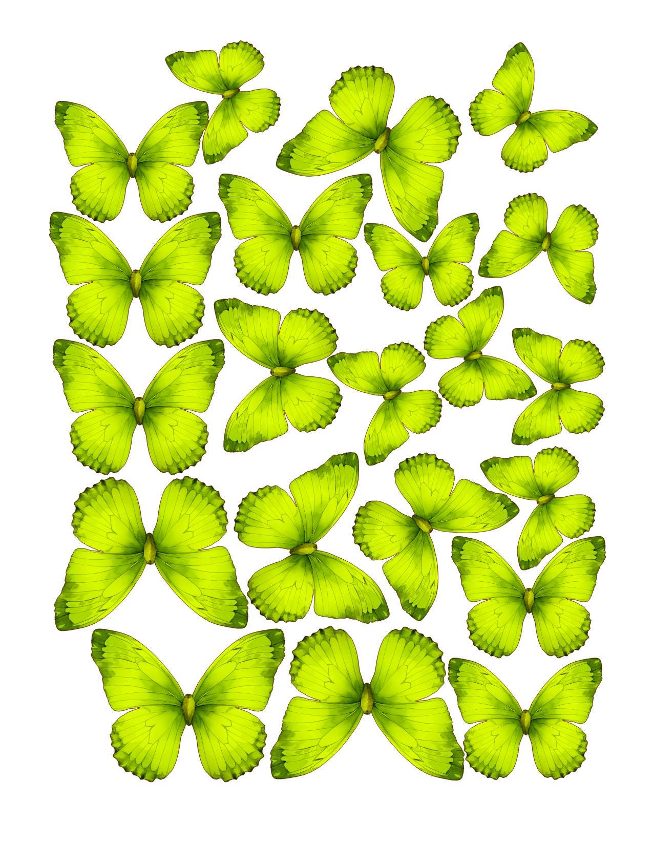 Vibrant Custom Edible Pre-Cut 3D Wafer Paper Butterflies - Multi-Sized For Cakes, Desserts, Drinks, Parties, Weddings and Bouquets