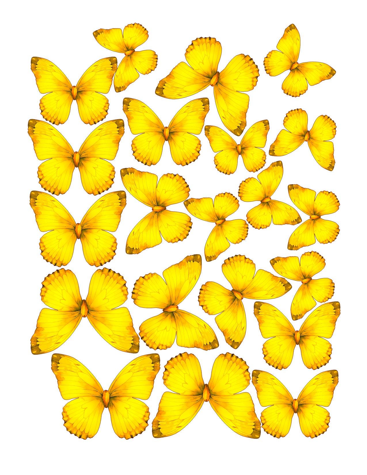 Vibrant Custom Edible Pre-Cut 3D Wafer Paper Butterflies - Multi-Sized For Cakes, Desserts, Drinks, Parties, Weddings and Bouquets