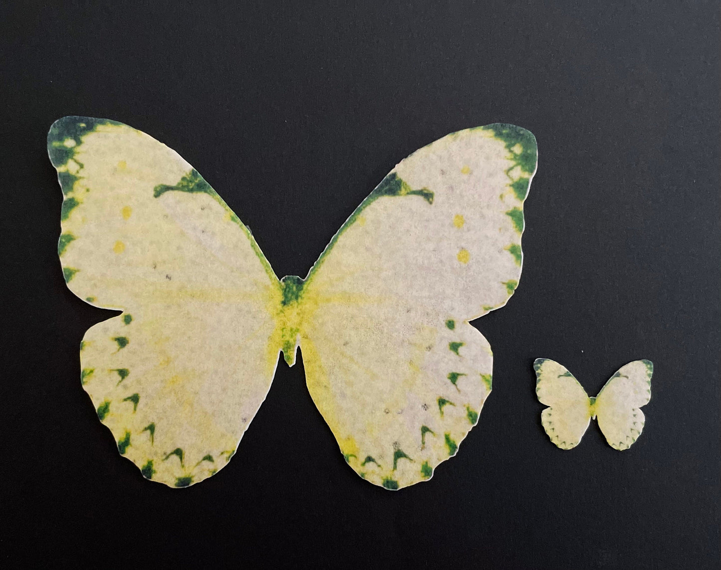Lemon Yellow Edible Pre-Cut 3D Wafer Paper Butterflies Multi Sized Edible Butterflies