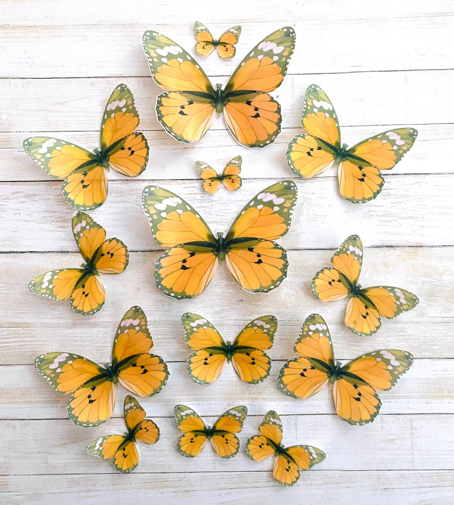 Orange Retro Edible Pre-Cut 3D Wafer Paper Butterflies - Multi-Sized Edible Butterflies