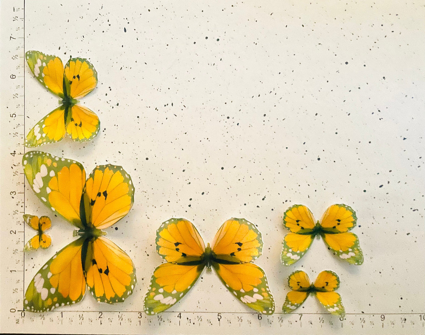 Orange Retro Edible Pre-Cut 3D Wafer Paper Butterflies - Multi-Sized Edible Butterflies