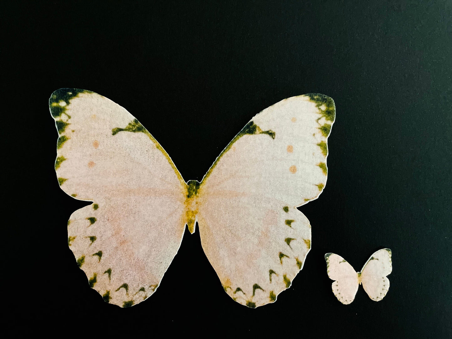 Peach w/blk tip Edible Pre-Cut 3D Wafer Paper Butterflies Multi Sized Edible Butterflies