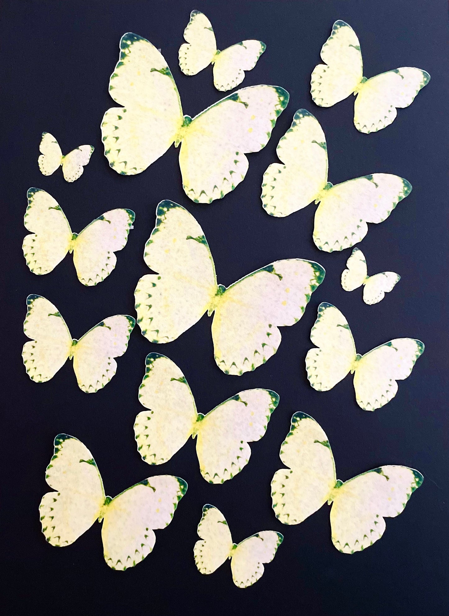 Lemon Yellow Edible Pre-Cut 3D Wafer Paper Butterflies Multi Sized Edible Butterflies