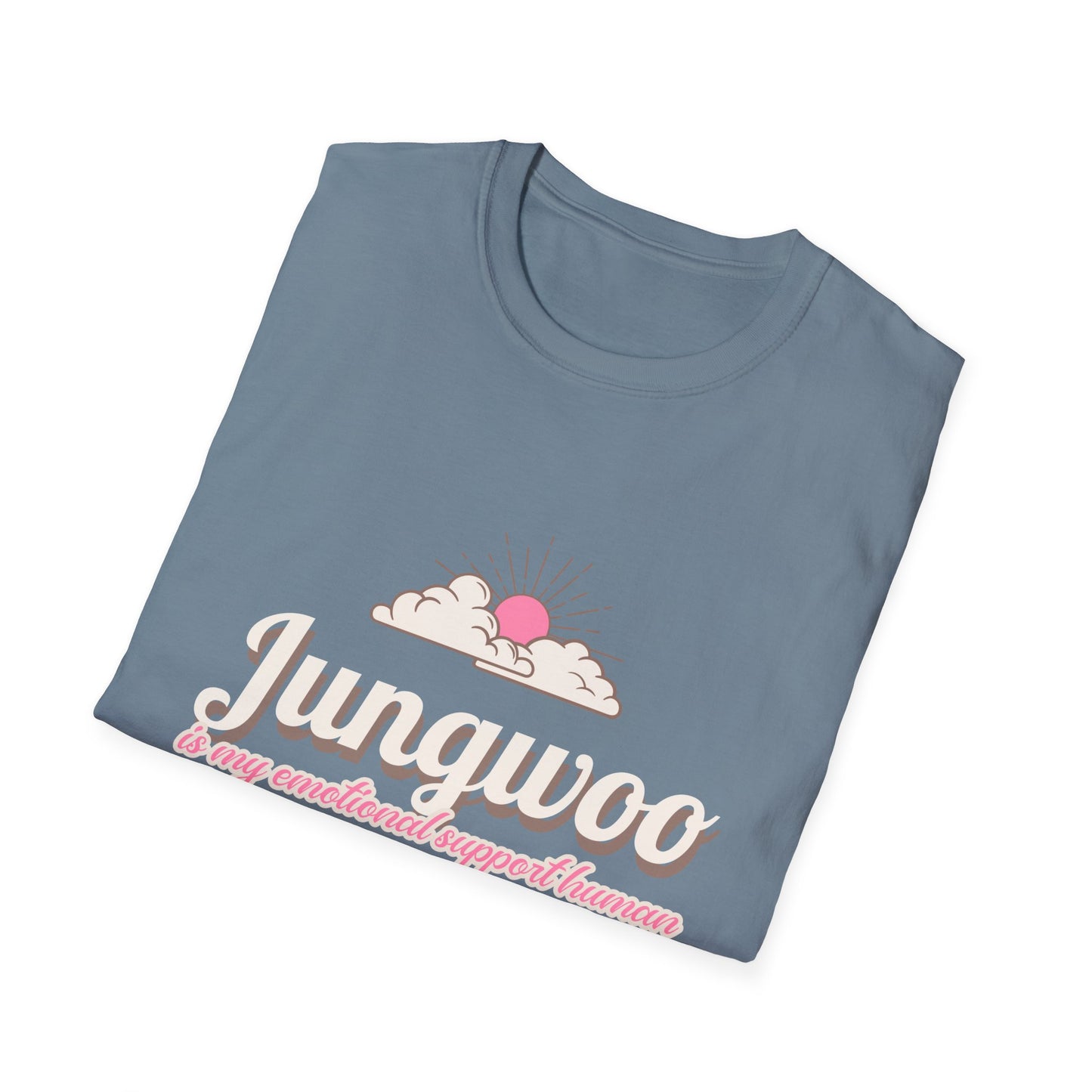 Jungwoo The Ultimate Emotional Support Human Unisex Softstyle T-Shirt