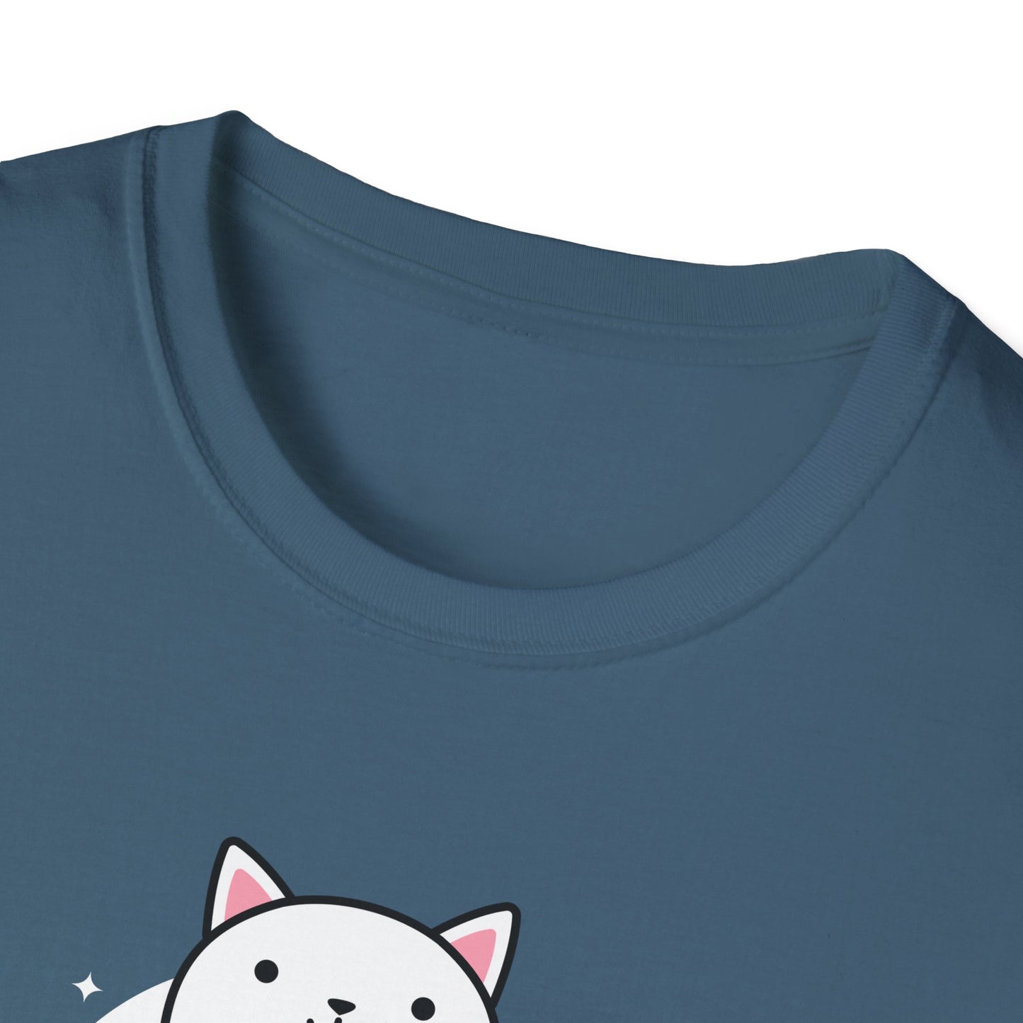 KPOP fan cat lover Just me, my cat, and kpop dreams funny t