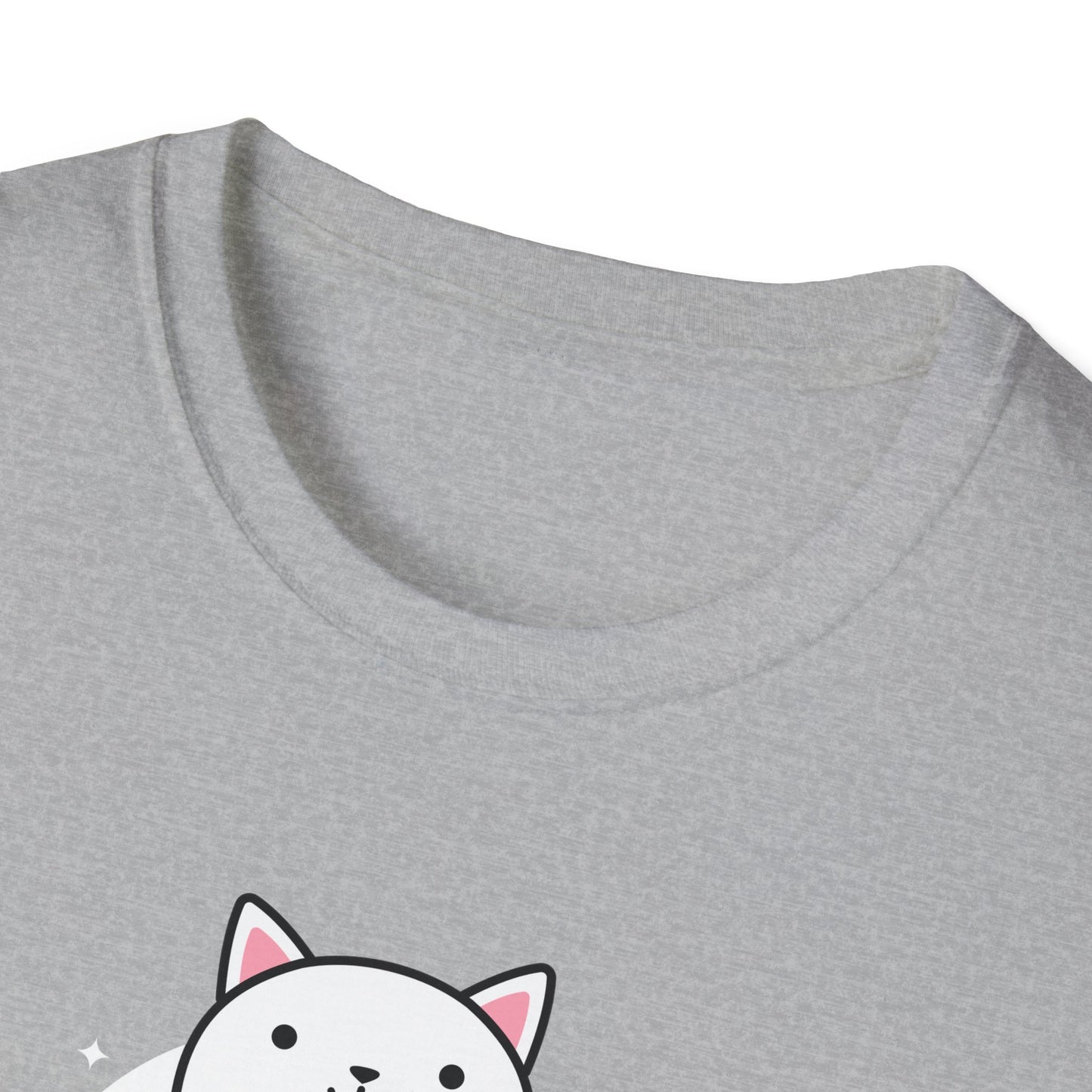KPOP fan cat lover Just me, my cat, and kpop dreams funny t