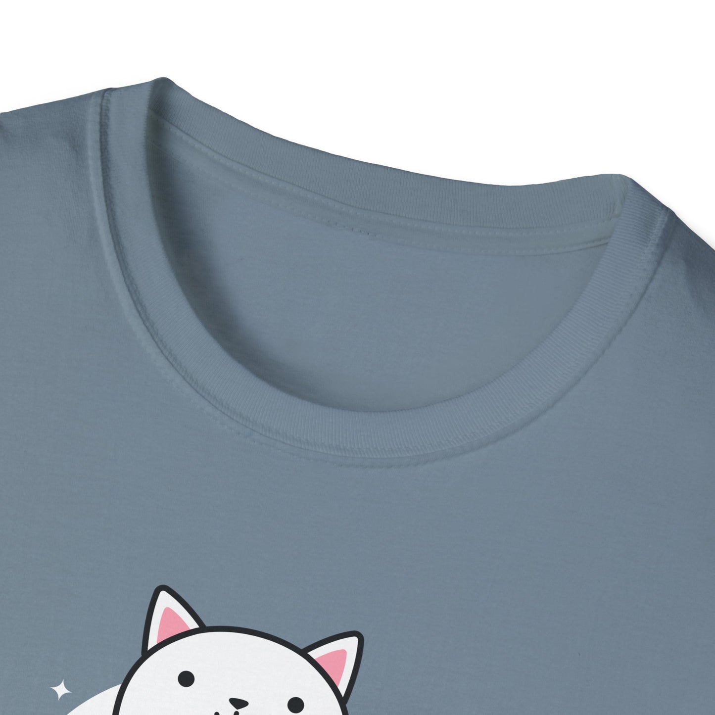 KPOP fan cat lover Just me, my cat, and kpop dreams funny t