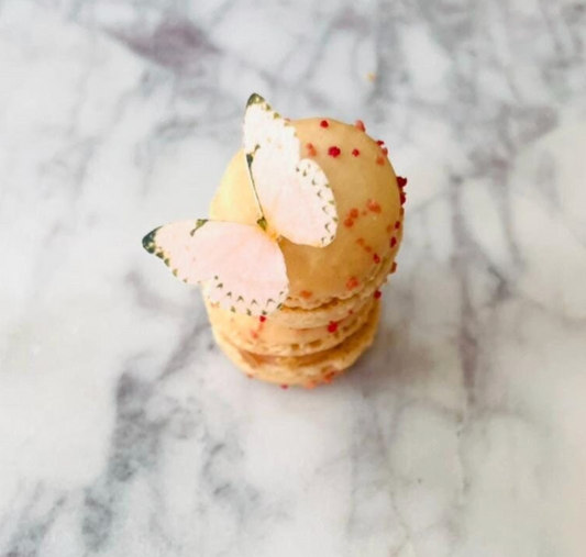 Peach w/blk tip Edible Pre-Cut 3D Wafer Paper Butterflies Multi Sized Edible Butterflies