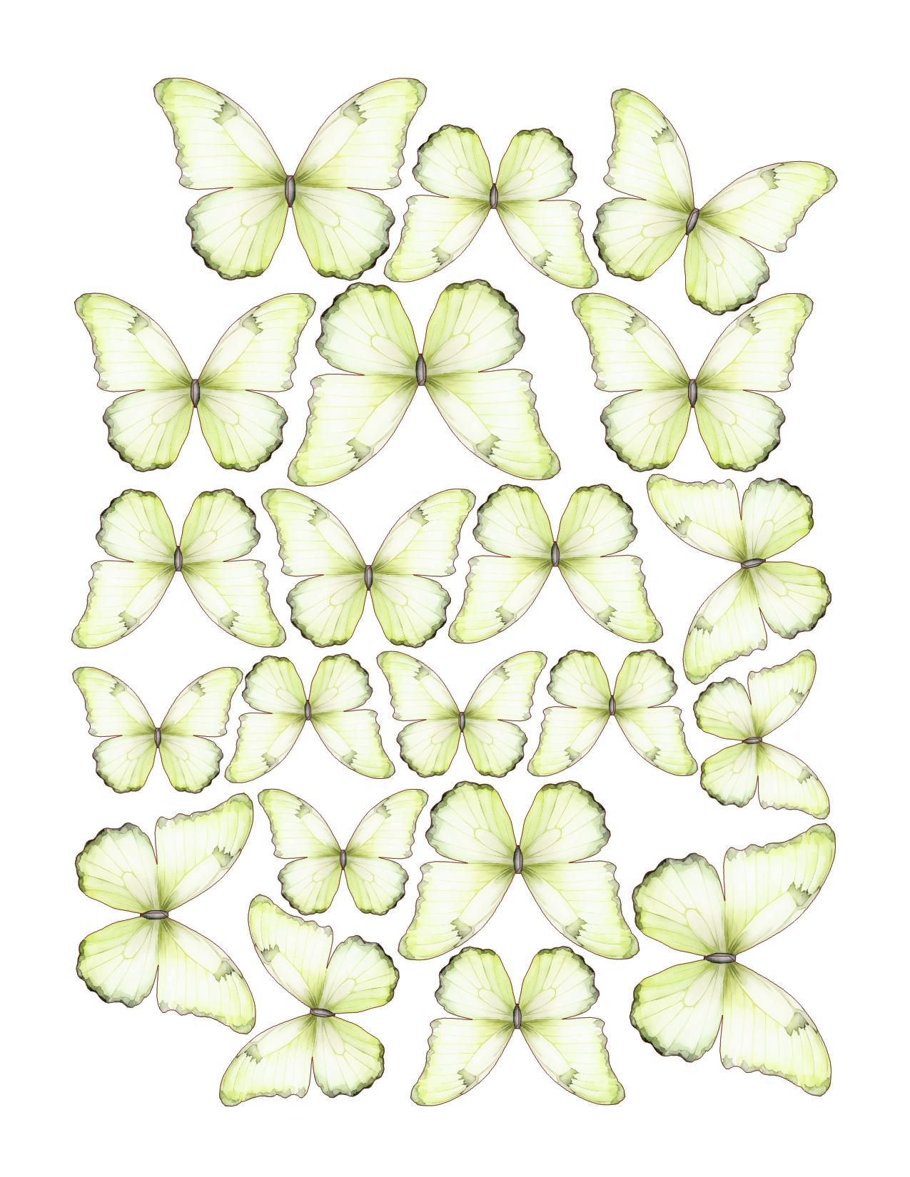 Boho Custom Edible Pre-Cut 3D Wafer Paper Butterflies - Multi-Sized For Desserts, Drinks, Parties, Weddings and Bouquets