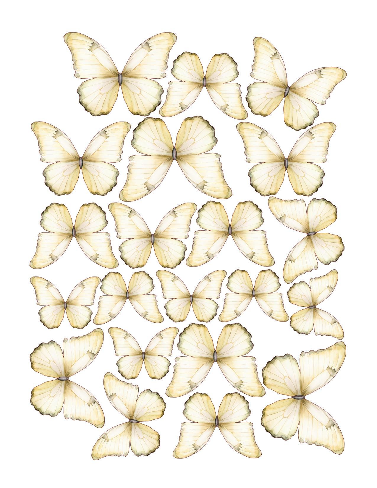 Boho Custom Edible Pre-Cut 3D Wafer Paper Butterflies - Multi-Sized For Desserts, Drinks, Parties, Weddings and Bouquets