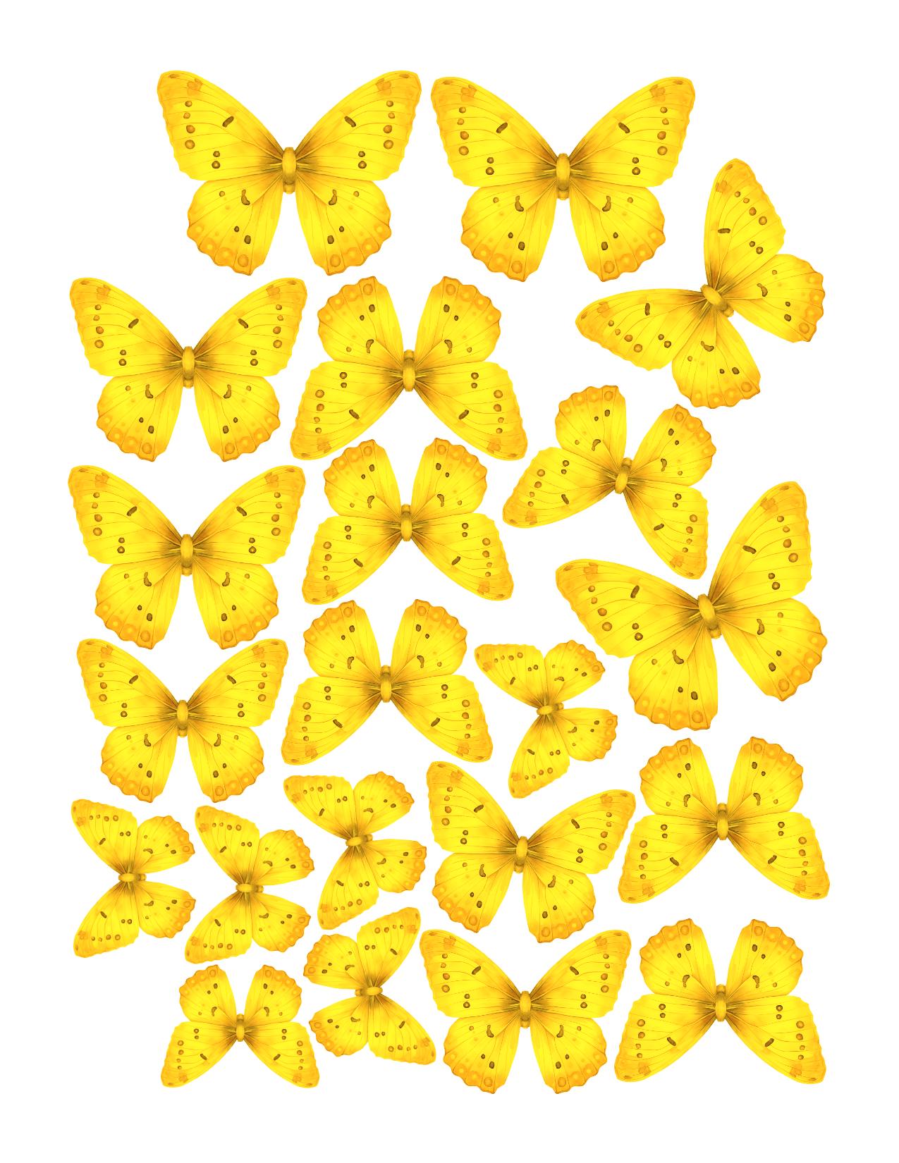 Spotted Boho Custom Edible Pre-Cut 3D Wafer Paper Butterflies - Multi-Sized For Cakes, Desserts, Drinks, Parties, Weddings and Bouquets