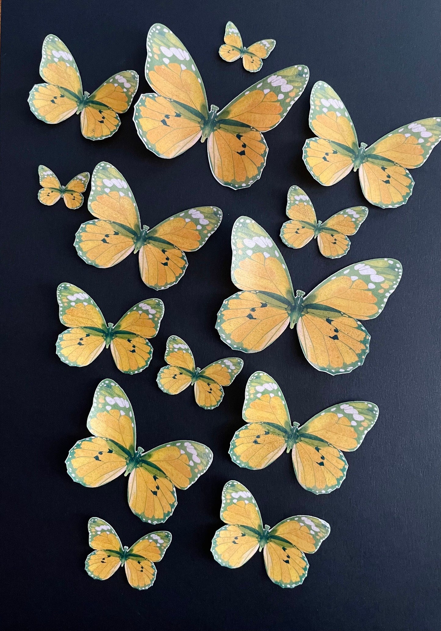Orange Retro Edible Pre-Cut 3D Wafer Paper Butterflies - Multi-Sized Edible Butterflies