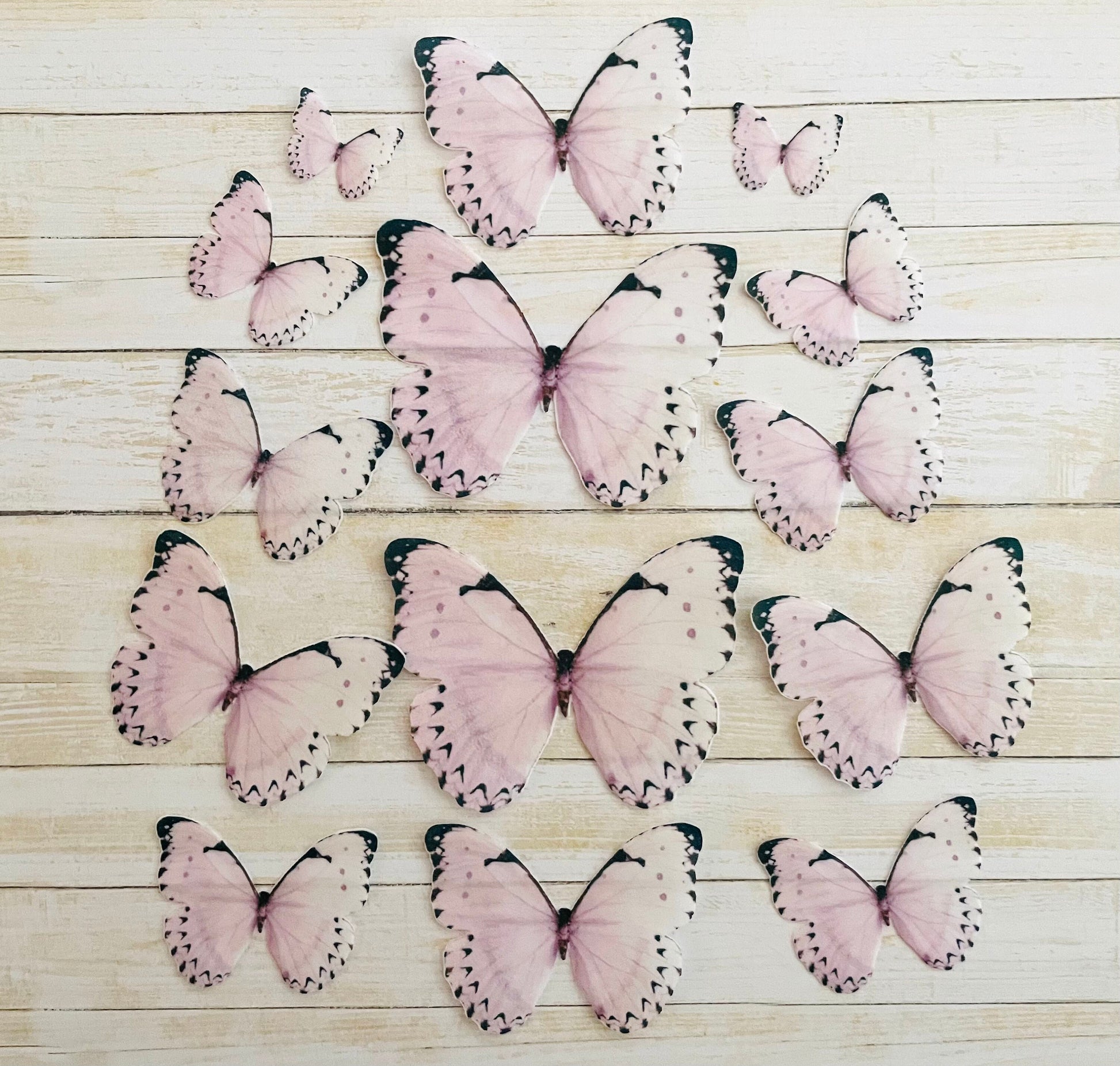 Light Pink/blk tip Edible Pre-Cut 3D Wafer Paper Butterflies - Multi-Sized Edible Butterflies
