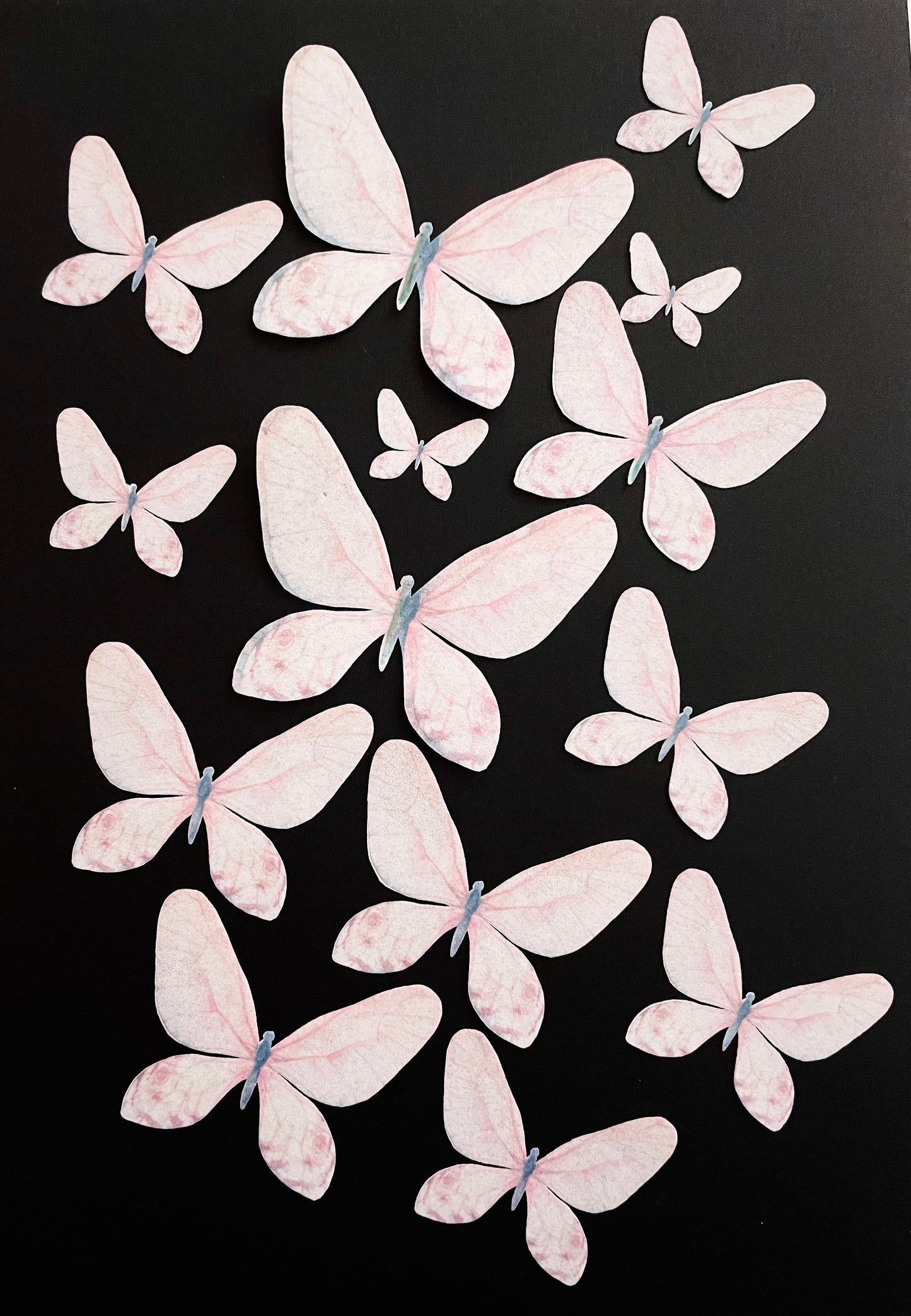Light Pink Edible Pre-Cut 3D Wafer Paper Butterflies - Multi Sized Edible Butterflies