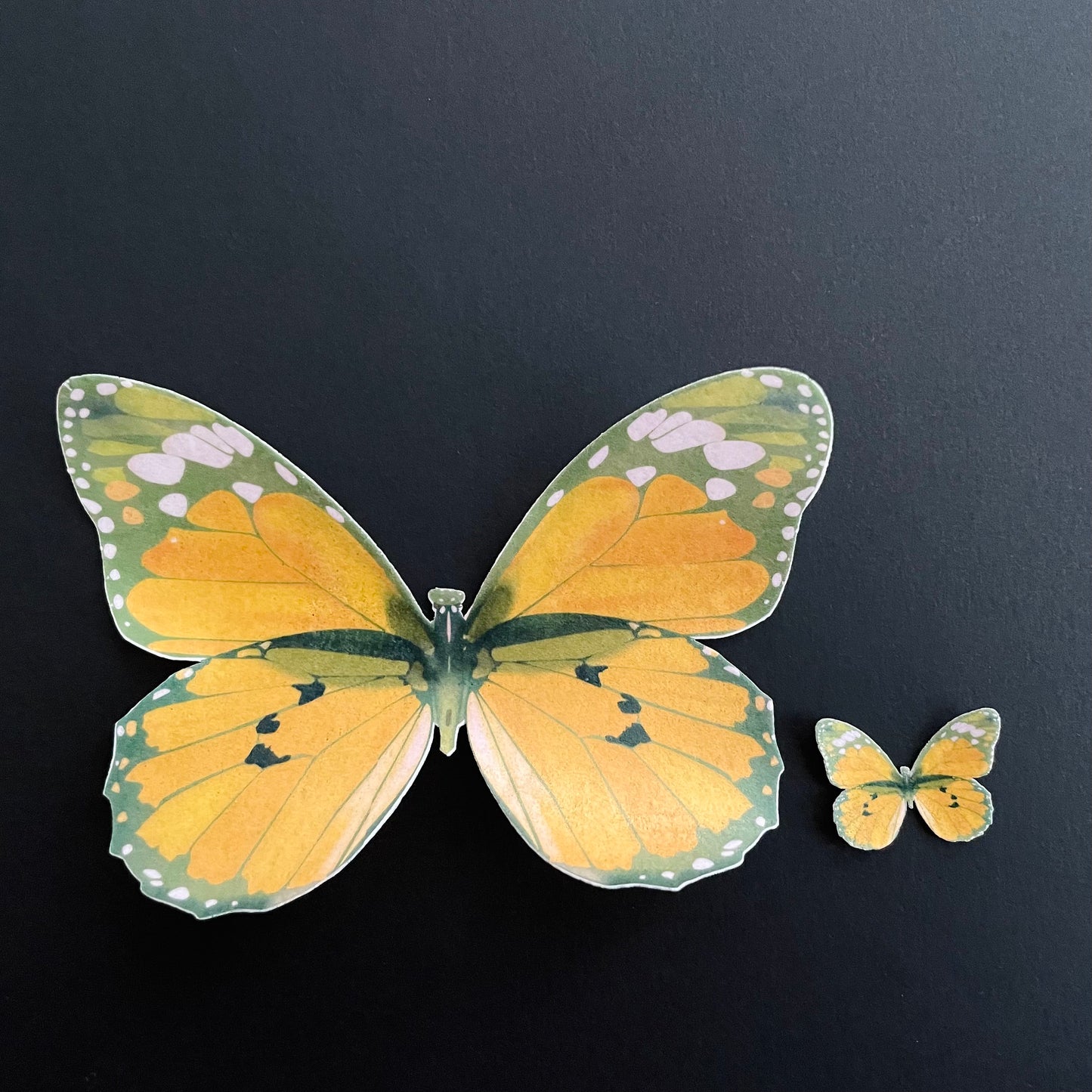 Orange Retro Edible Pre-Cut 3D Wafer Paper Butterflies - Multi-Sized Edible Butterflies
