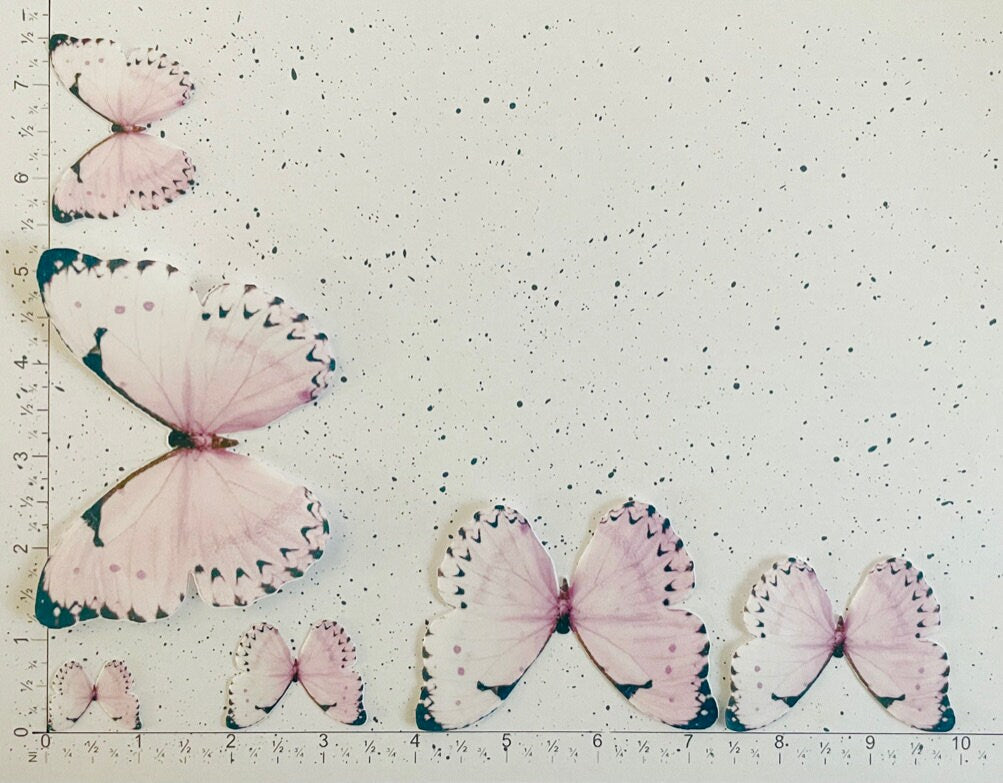 Light Pink/blk tip Edible Pre-Cut 3D Wafer Paper Butterflies - Multi-Sized Edible Butterflies