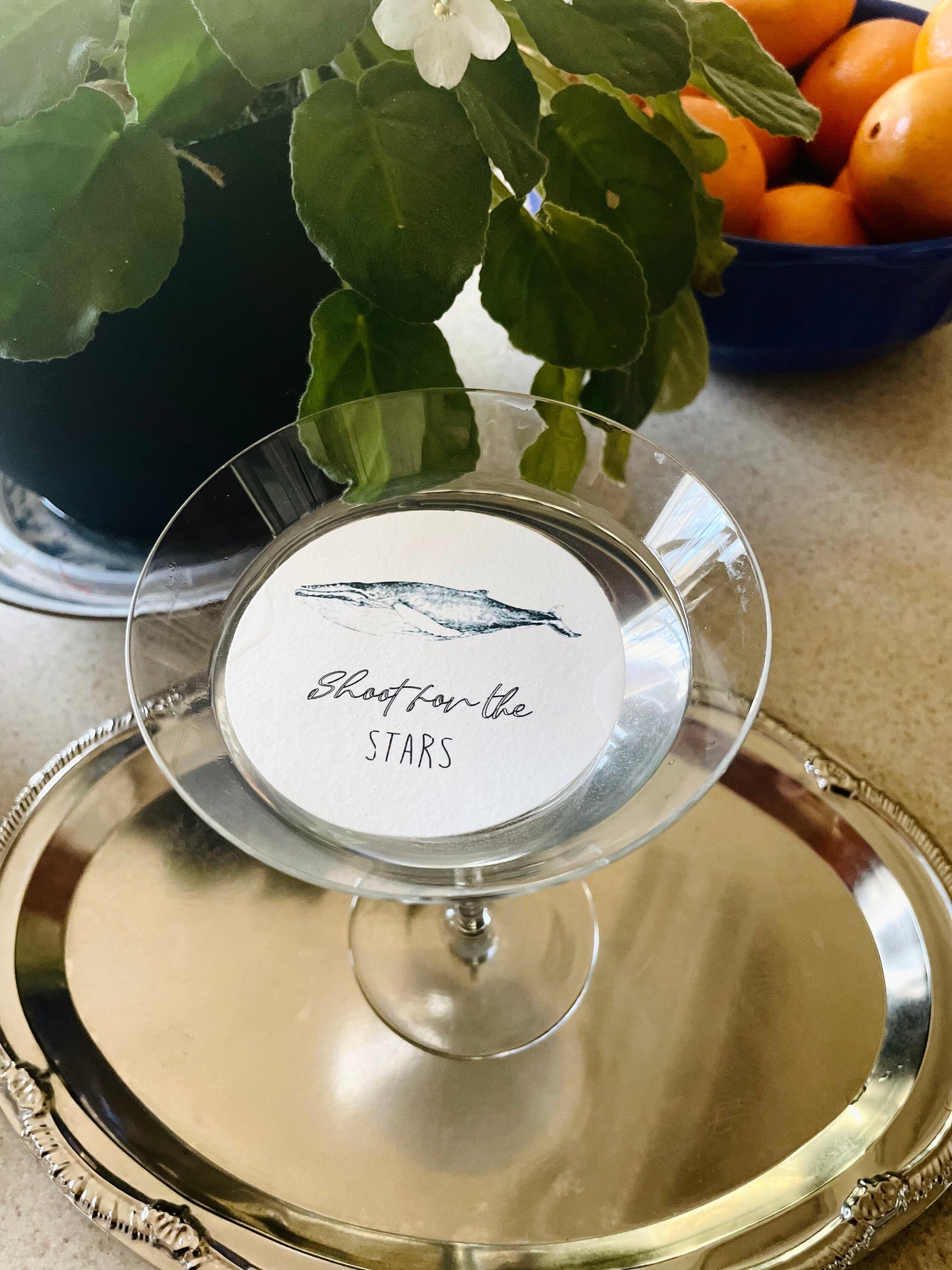 Shoot for the Stars Whimsical Custom Edible Bar Cocktail Drink Toppers, 2 sizes