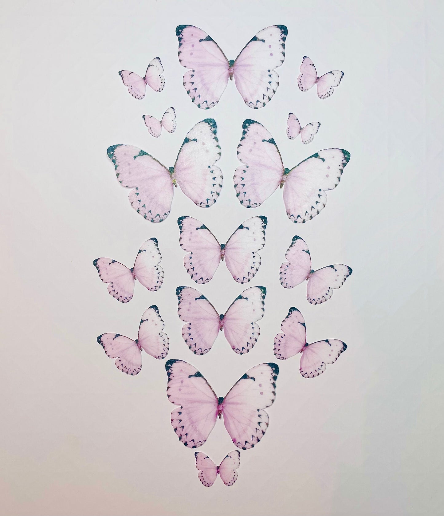Light Pink/blk tip Edible Pre-Cut 3D Wafer Paper Butterflies - Multi-Sized Edible Butterflies