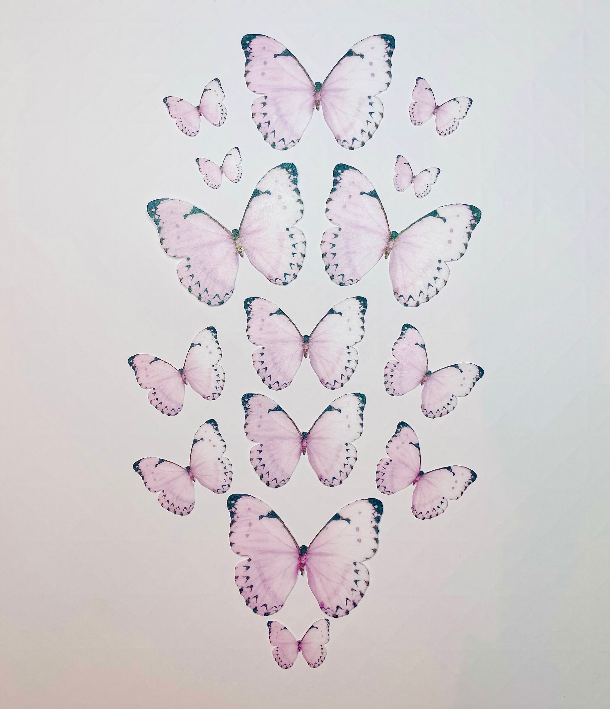Light Pink/blk tip Edible Pre-Cut 3D Wafer Paper Butterflies - Multi-Sized Edible Butterflies